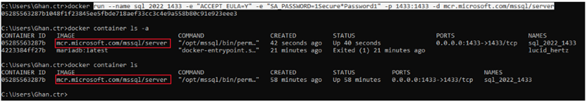 Installing SQL Server into Docker
